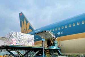 Vận chuyển vải quả đi quốc tế của Vietnam Airlines tăng mạnh