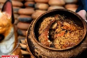 Khám phá những món đặc sản ngày Tết của các vùng miền