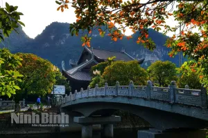 Đẹp nao lòng mùa cây thay lá